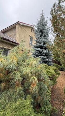 Дом, 220 м² · Донецк, Куйбышевский район · фото 1